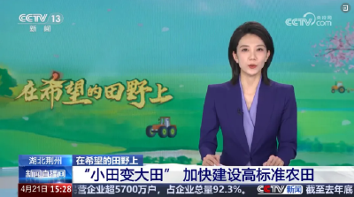 央视再次关注！荆州这里为何频频“出圈”？