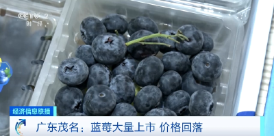 价格“腰斩”！这一水果大量上市了！