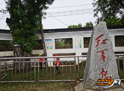 石首市自然资源和规划局：科学防治 守护“绿色文物”