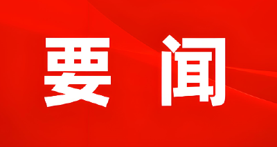 苏云国调研督办洪湖流域水生态环境治理工作
