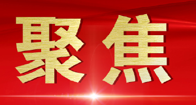 荆州经开区召开外贸出口型企业代表调研座谈会