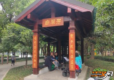 环境美 停车易 出行畅  荆州生活更舒心