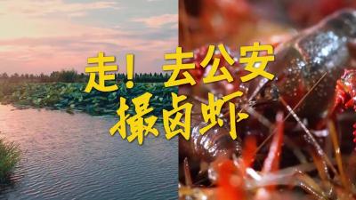走！去公安撮卤虾