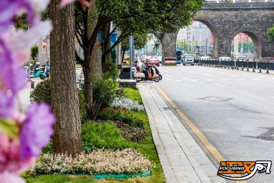 端午旅游更“惊艳”：荆南路1.5公里“花境”节前上线，一步一景让古城美出新“境”界