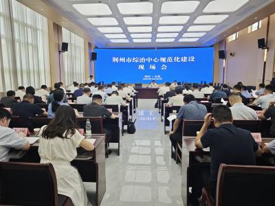 荆州市推进综治中心规范化建设现场会召开
