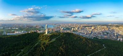 让创新基因像野草一样疯长，武汉市江夏区支持硬核科技突围的故事