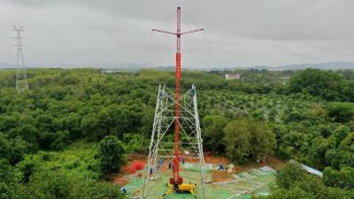 高空“搭积木”！荆州这项发明获国际金奖