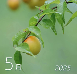 最新放假通知！