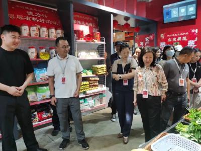 沙市区人大：发挥“代表+专业”作用 助力高质量发展