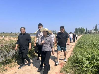 罗中平赴洪湖市参加代表行动
