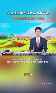 央视关注荆州江陵县油菜丰收 智能化助力农业增产增收