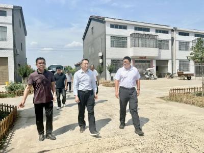 刘勇赴江陵县参加代表行动