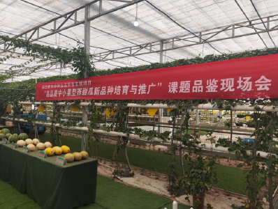 石首：以种业"芯"力量夯实现代化农业根基