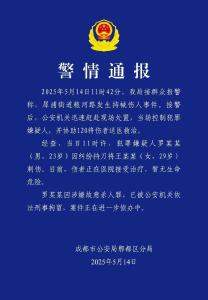 四川发生持刀伤人事件，罗某某被控制