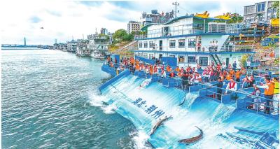 湖北日报丨放下鱼叉子 端上新饭碗——三位荆州上岸渔民的故事