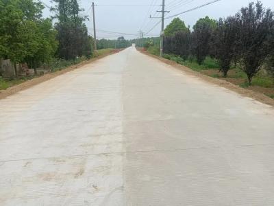 从“坑洼隐患路”到“民生幸福线”民生实事项目人大代表票决制结硕果
