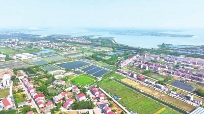 向湖村里好风光！“滩涂草地”蝶变“生态乐园”