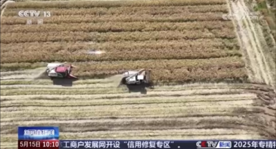 央视《新闻直播间》关注 | 在希望的田野上·三夏时节 湖北荆州 收割油菜智能化 助力农业增产增收