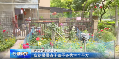 e线民生｜圈占公共绿地种花，这样能行吗？