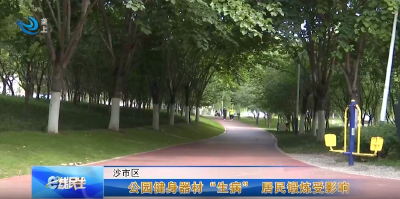 e线民生丨公园健身器材“生病” 居民锻炼受影响