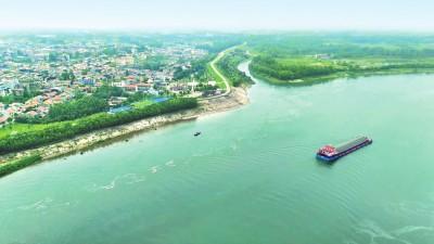 重返抗洪抢险地 | 石首市调关镇：惊涛已成稻浪