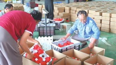 “土味”书记勇闯“云端”市场：5分钟卖出1000单！