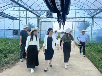 部分全国人大代表在荆开展代表行动