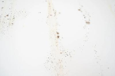家里一旦出现这种小黑点，身体多个部位可能要遭殃！