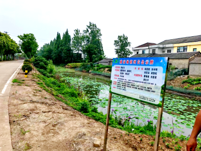 洪湖市戴家场镇开展黑臭沟渠集中整治行动