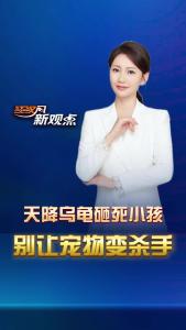 江汉风新观点 ：天降乌龟砸死小孩，别让宠物变杀手