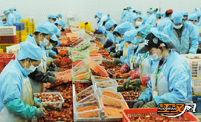 荆州味道：从江湖之鲜到国潮IP的味觉蝶变