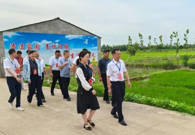 代表行动丨江陵县资市镇人大：聚力“两清”工作 “三级”代表在行动