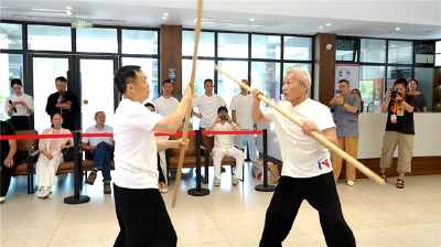文化遗产日现 “武林风” 荆州心意拳展非遗新貌