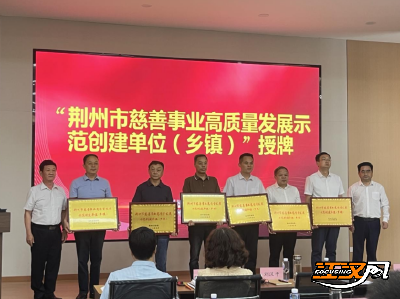 荆州市慈善项目培训会暨公益慈善领域突出问题专项整治工作推进会举行
