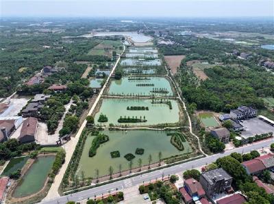 荆州区紫荆片区山水工程 为长湖水源地保护筑牢生态屏障