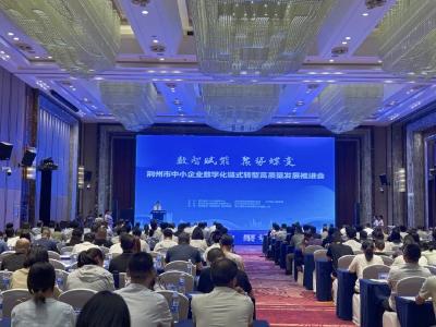 数智赋能 聚势蝶变！荆州市中小企业数字化链式转型高质量发展推进会成功举办