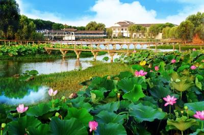 洪湖，浪打浪里万象新