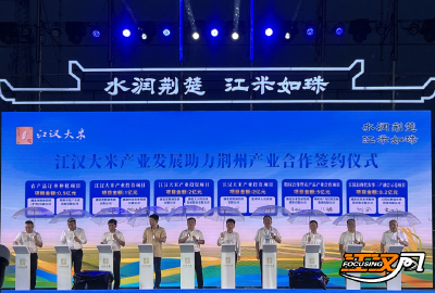 水润荆楚 江米如珠丨协力赋能“荆”品  共筑产业强链
