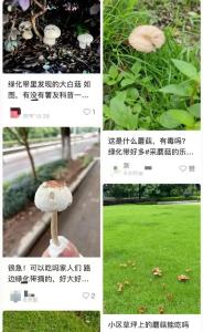 一家6口送进ICU，孩子病危！紧急提醒：不要采，不要吃
