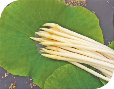 【媒眼看荆州】6月14日—6月16日 央省媒体聚焦荆州抗洪、红色荆典故事