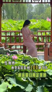 在荆州恢复高能量的100件小事——邂逅夏日限定美景