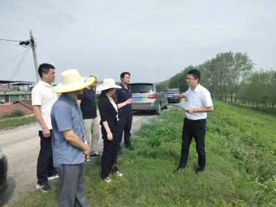 罗中平全线巡查洈水河松滋段生态保护