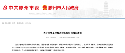 杨某，不得录用为公务员！