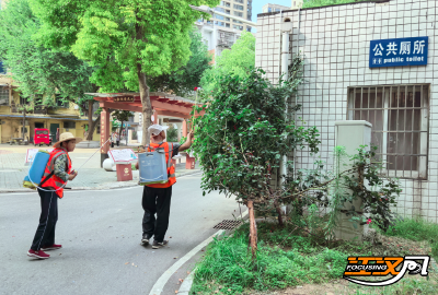 沙市区在中心城区开展集中灭蚊蝇工作  