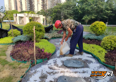 荆州一小区旁荒地变身梦幻“莳光园”