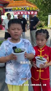 荆州万盆鲜花免费送！市民乐享“绿色福利”