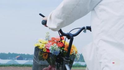   “四好”党员吴芸紫：希望有一天，田里种的都是我培育的棉花
