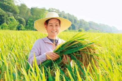 毕利霞：科技“稻”路宽 村民丰收足