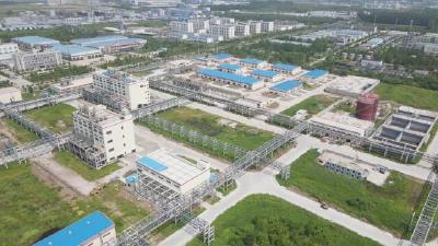 建功支点正当时︱金珠生物：小小除草剂玩转全球大农田