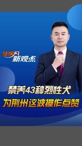 江汉风新观点： 禁养43种烈性犬 为荆州这波操作点赞